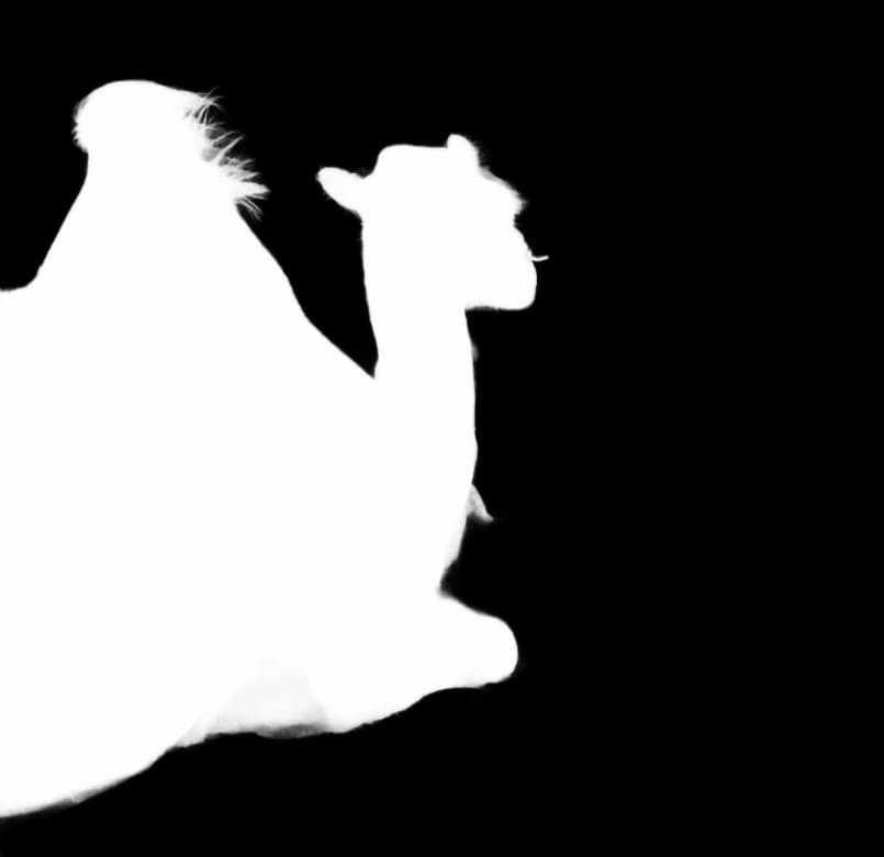 Camel background removed